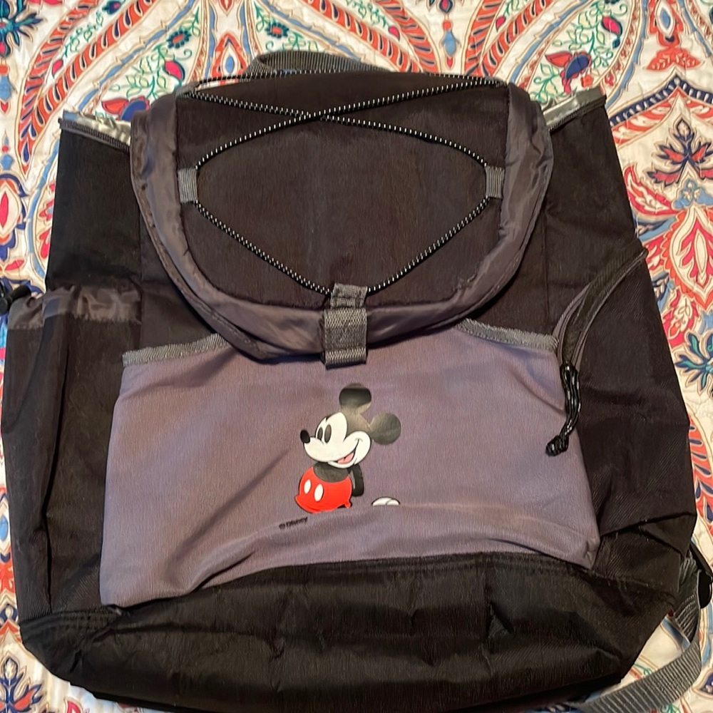 Disney cooler backpack used only 2x for my MK trip. Keeps things cold